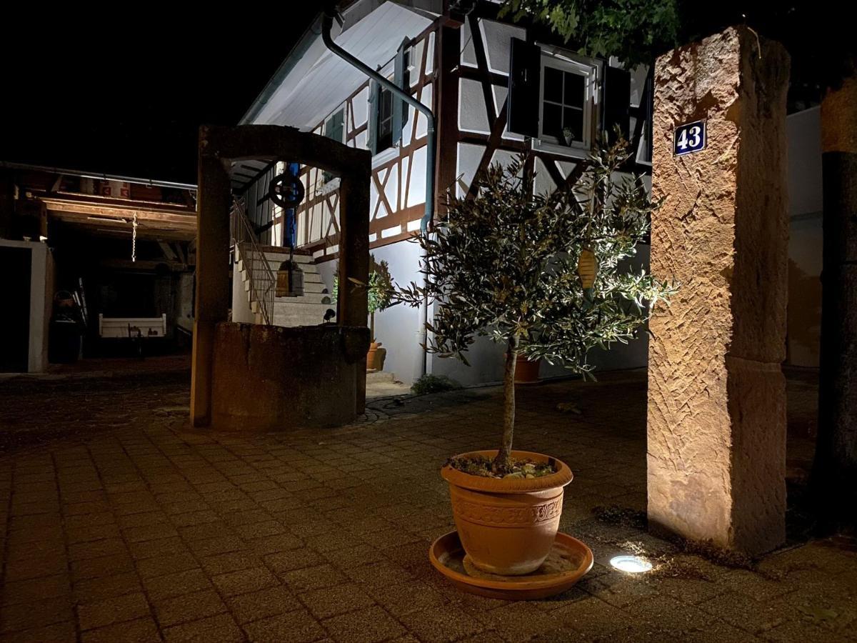 黑尔博尔茨海姆Traumhaft Wohnen Im Haus Blum公寓 外观 照片